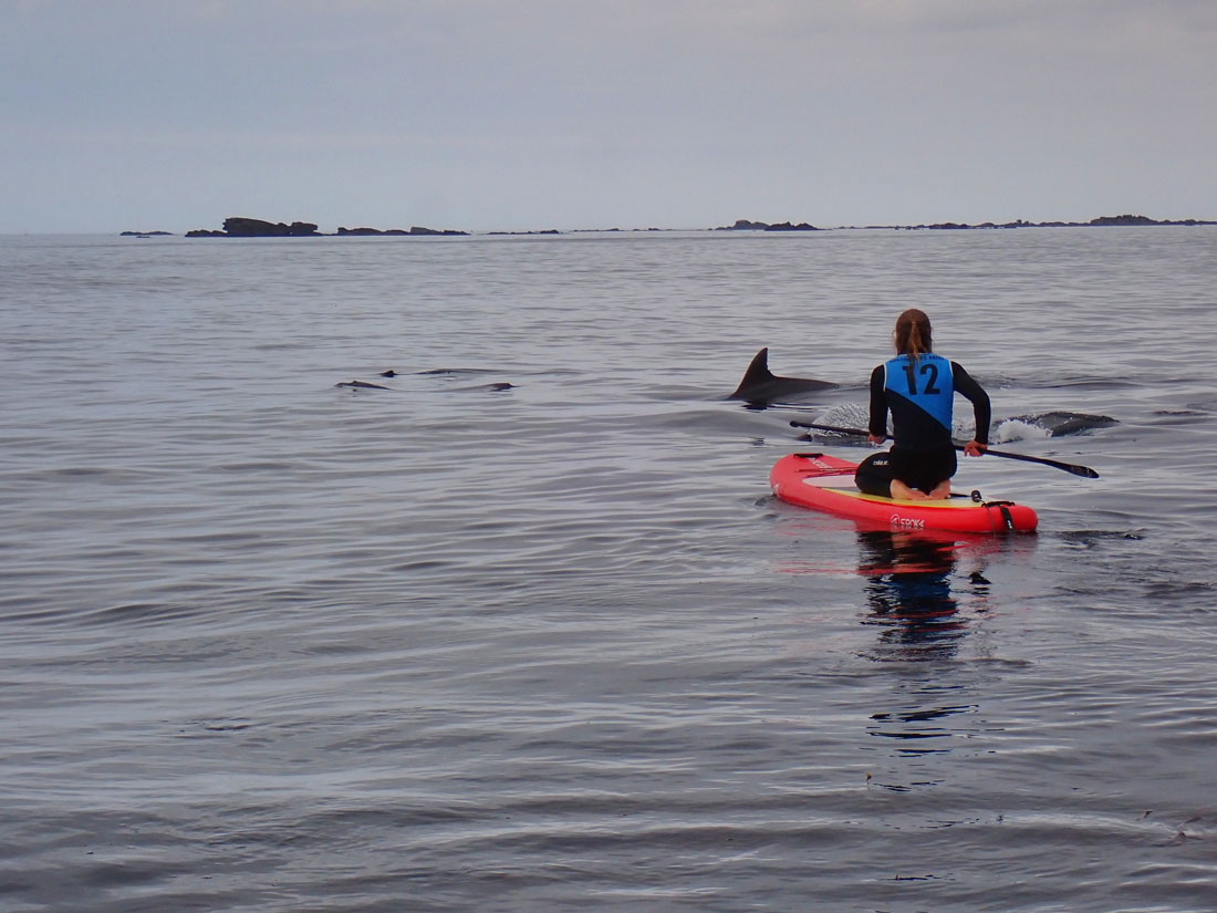 BALADE STAND UP PADDLE BRETAGNE